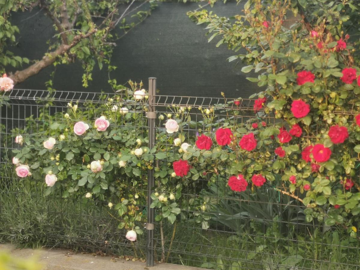 Bed & Breakfast R&b Il Melograno 3*